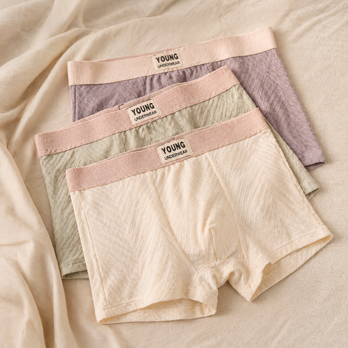 AeroFlex Luxe Boxer Trunks