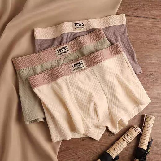 AeroFlex Luxe Boxer Trunks