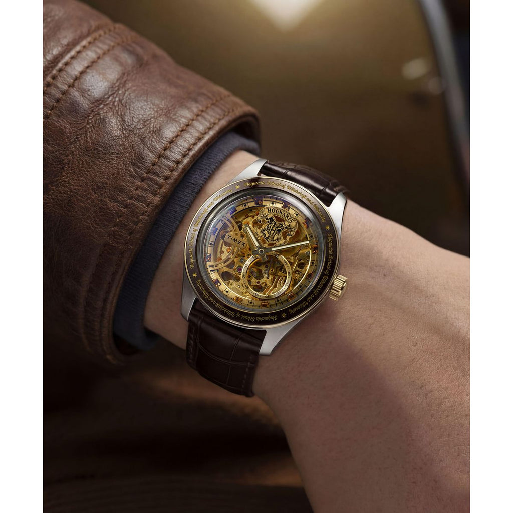 Harry Potter WATCH