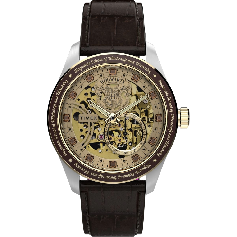 Harry Potter WATCH